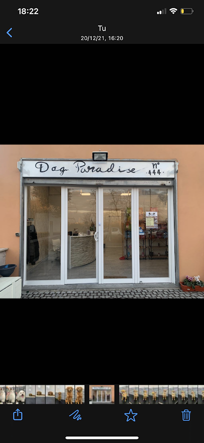Dog Paradise Fiumicino
