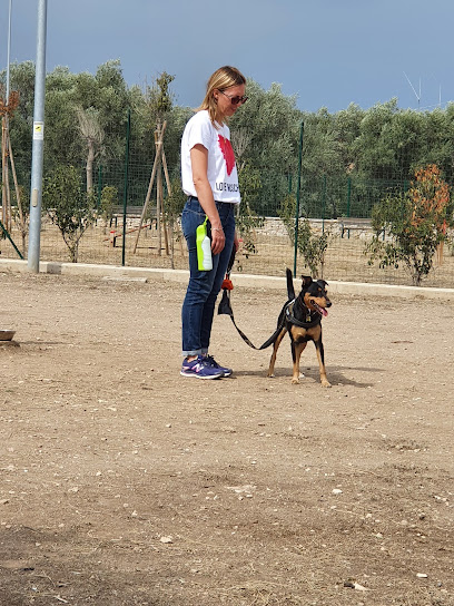 Dog Park degli Ulivi