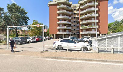 Dog Saloon di Vanessa Alunni