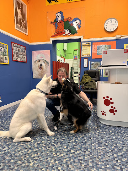 Dog Shop - Bagni e Tosature