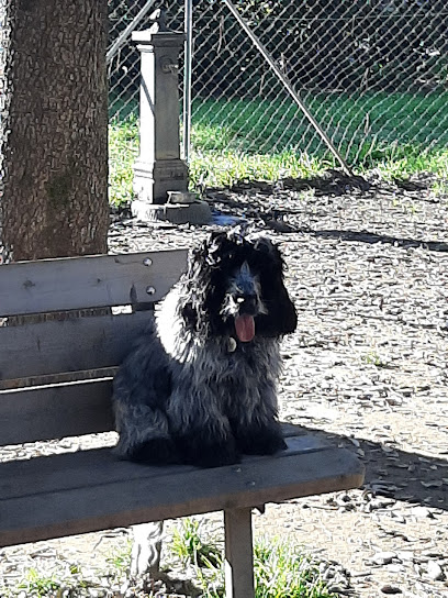 Dog park