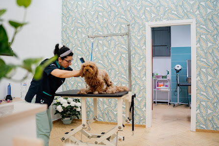 Dog saloon Bisceglie