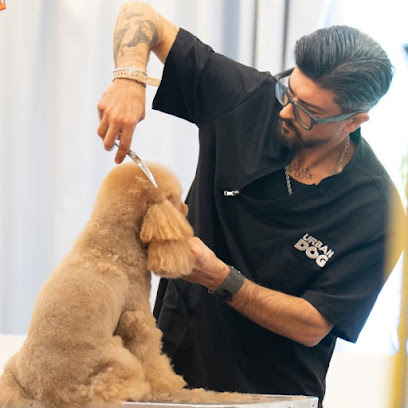 Dogland Toelettatura