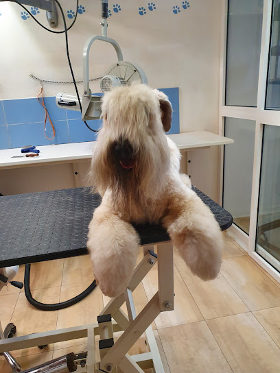 Dolci Bolle Toelettatura per cani