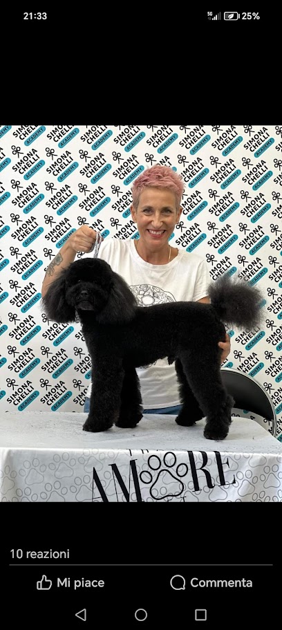 Don Bacco Toelettatura di Luana Sarracino