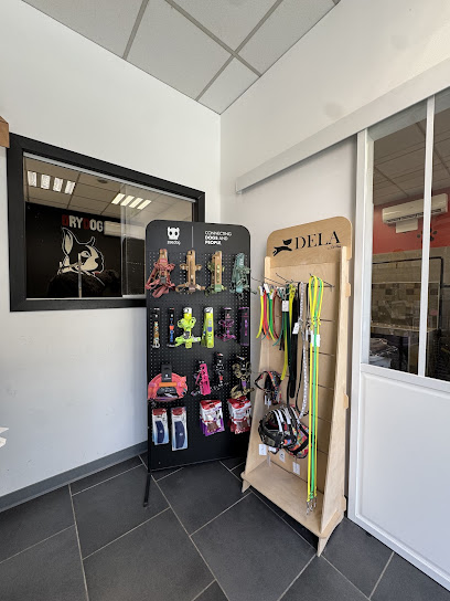 Drydog Toelettatura Viterbo