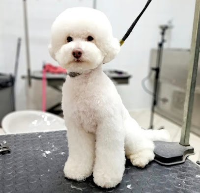 Dylan toelettatura spa boutique