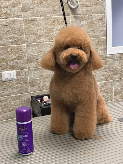 Ed'S Pet Bagno e Toelettatura