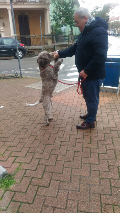 Elite Toelettatura Di Carella Vincenzo