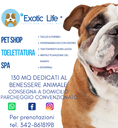 Exotic Life Beauty & SPA