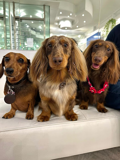 FIUTO Toelettatura & Spa