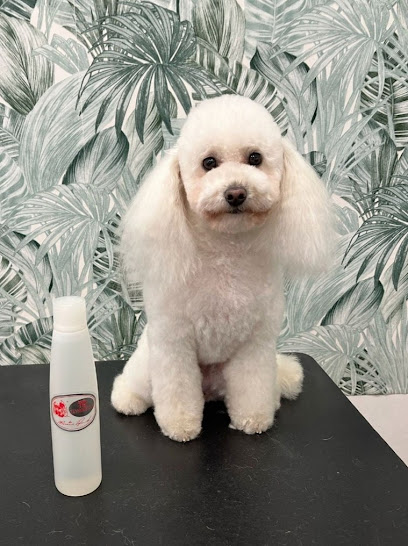 Fashion Dog Ripamonti toelette per cani