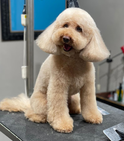 Federigo Toelettatura