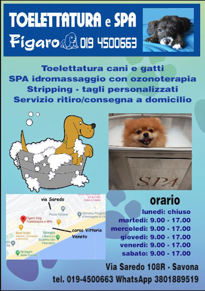 Figaro Dog Toelettatura e SPA