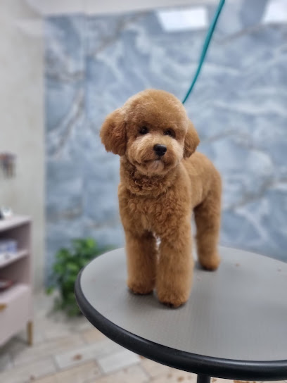 Follie di Pelo di Alessia La Corte