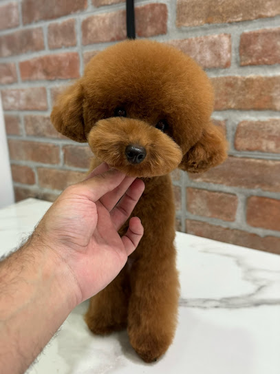 Gabriel Foti - Beauty Dog Salon