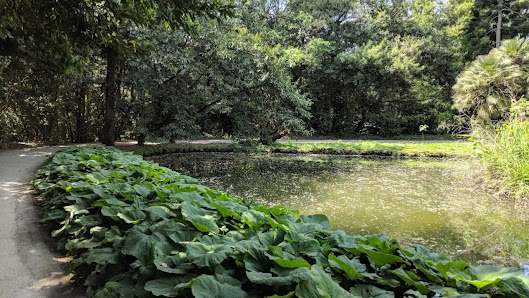 Giardini Reali - Parco Reggia di Caserta