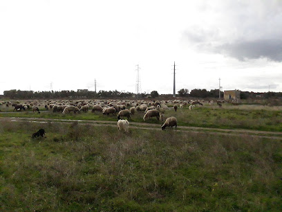 Giardino Pratolagemma