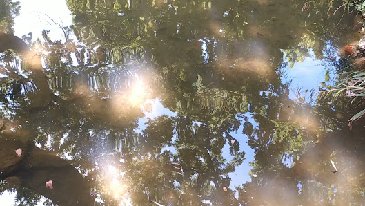 Giardino Pubblico Muzio de Tommasini