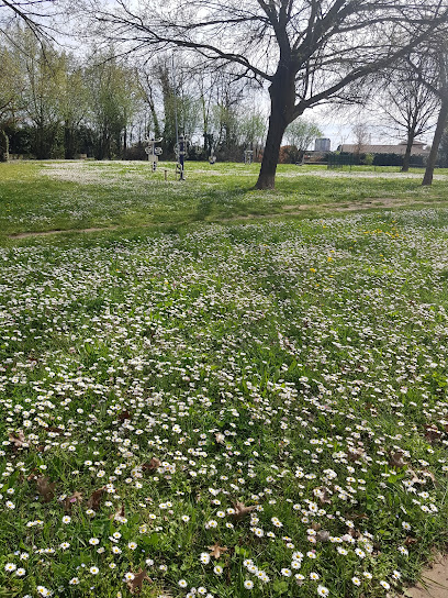 Giardino Pubblico attrezzato con area cani - Carugate