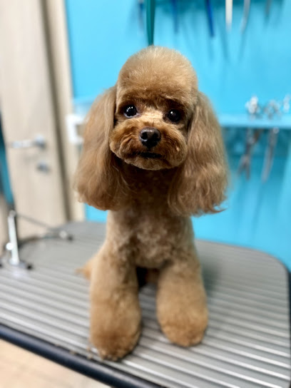 Giudi Dog Boutique Toelettatura&SPA Cremona