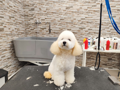 Gli amici di Nano Toelettatura