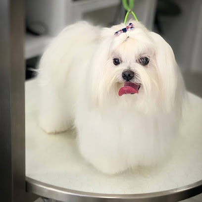 Gold Beauty Toelettatura