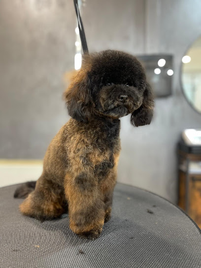 Grooming Center - Toelettatura e Spa Animali