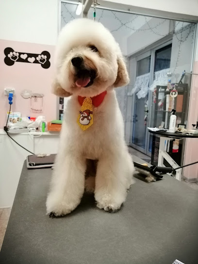 Grooming Space. Il Salotto del Cane e del Gatto