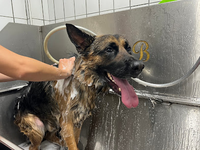 Grooming&Coccole di Simona Cantilena