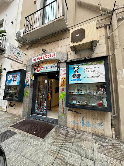 Havana Dog - Toelettatura e Pulizia Dentale per Animali a Bari