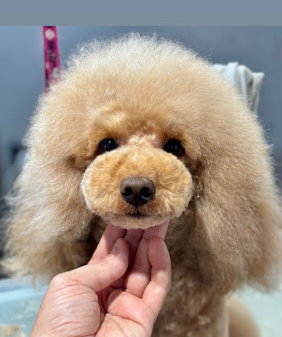 IM dog grooming & spa