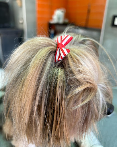 Il Bagnetto Toelettatura