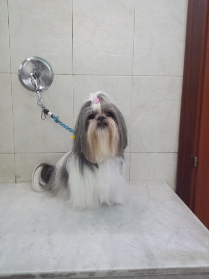 Il Brutto Anatroccolo