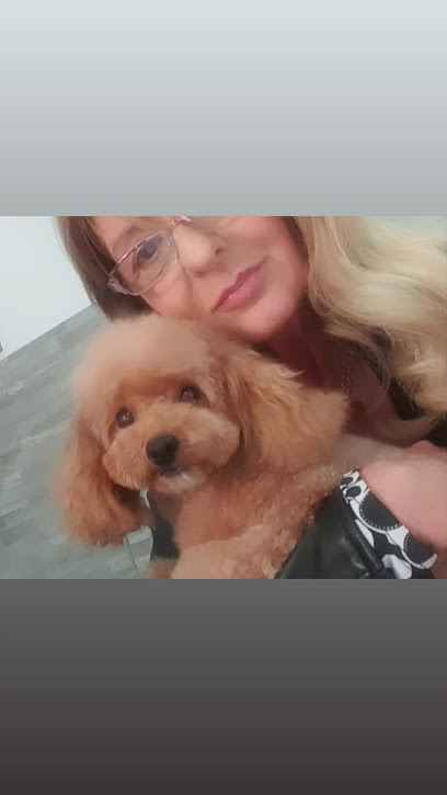 Il Cucciolo Toelettatura