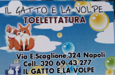 Il Gatto e La Volpe - Toelettatura