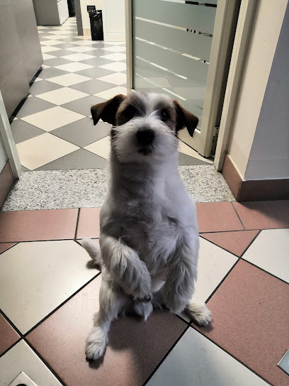 Il Paradiso Di Pluto Di Cappelletti Carola & S.N.C