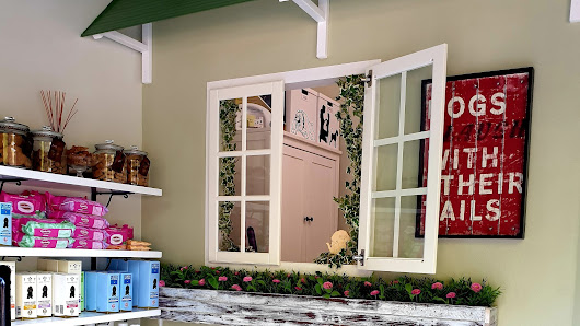 Il Pelo Matto di Monica Mangini