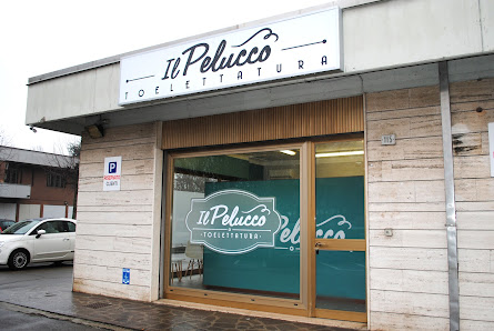 Il Pelucco Toelettatura