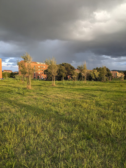 Il Pratone area verde