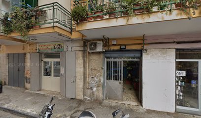 Il benessere del cane