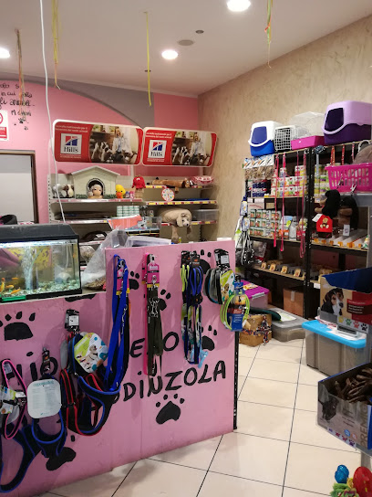 Il mio angelo scodinzola