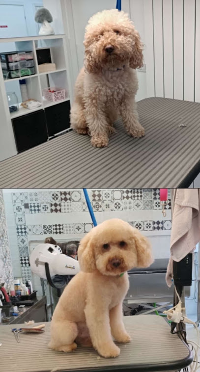 Il salone dei pelosi Ferrara