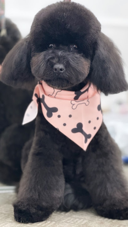 Impronte di Bellezza - Centro Estetico per Cani e Gatti