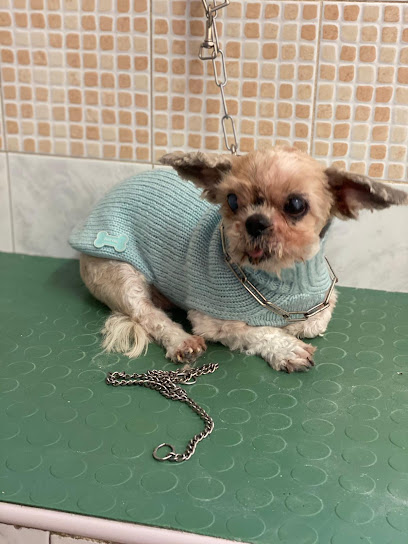 Ingo e Birba di Peis Graziella