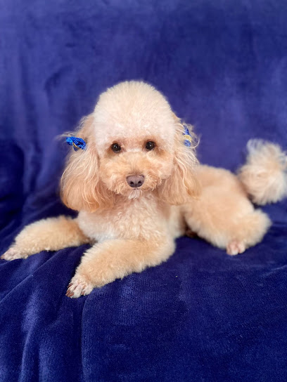 Io & Mya - Toelettatura Di Totio Carlo