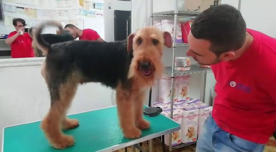 Io posso entrare Toelettatura & petshop