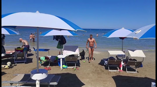 Islamorada - Dog Beach