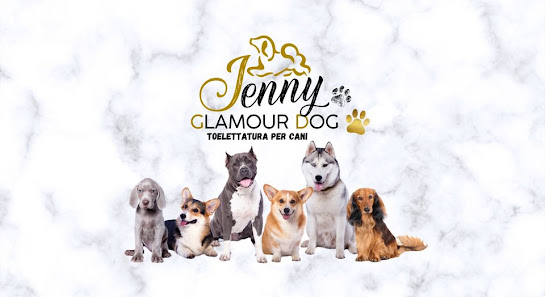 Jenny Glamour Dog