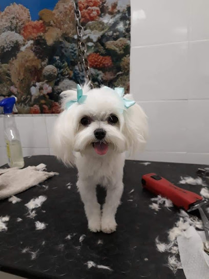 L'isola degli animali